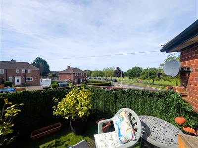 Picture 16